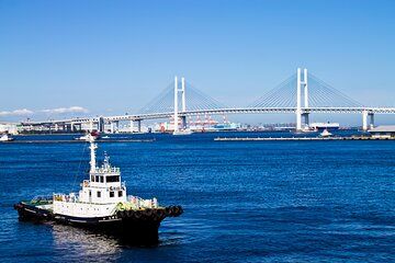 Yokohama Kanagawa - Private Accessible and Customizable Tour