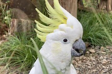 Family trip to staglands wildlife sanctuary