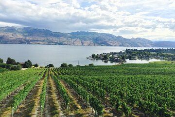 Two Day Private Wine and Bike Tour Vancouver to Kelowna