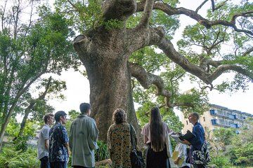 Exclusive Private Tour: Fukue Castle, Japan’s Last Sea Castle