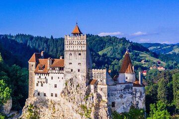 Transylvania Tour with Bran Castle and Bear Sanctuary Visit