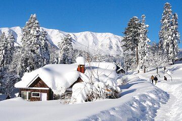 Beautiful Gulmarg Private Tour from Srinagar