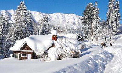 Beautiful Gulmarg Private Tour from Srinagar