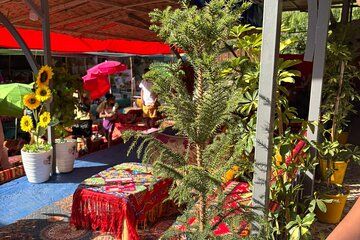 Ourika Valley and Atlas Mountains Trip from Marrakech