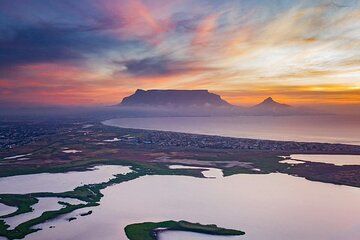 Cape Town City Centre Bus Tour Experience