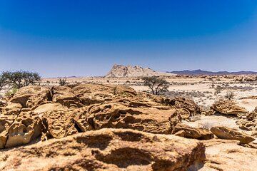 Namib Naukluft National Park Landscape and Birding Day Tour