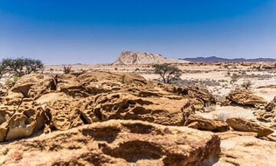 Namib Naukluft National Park Landscape and Birding Day Tour
