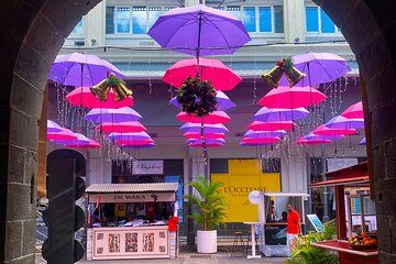 Mauritius: Private North Adventure with Hotel Pick Up