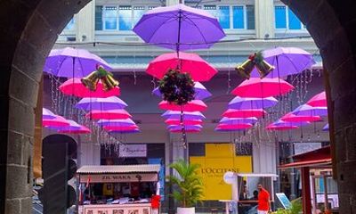 Mauritius: Private North Cultural Odyssey with Hotel Pick Up