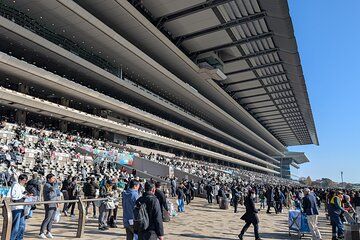 Japanese horseracing private tour with a local expert!
