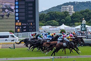 Japanese horseracing private tour with a local expert!