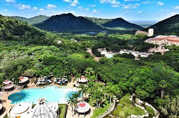 Sun City Escape Waves Wildlife and Wonder