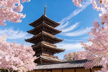 Kyoto's Chronological History(Private Tour)