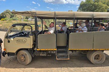 Cape Town Big 5 Sunset and Afternoon Game Drive with Swimming