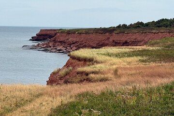 Island’s Finest 5 passengers only!