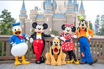 Tokyo Disneyland or DisneySea Ticket and One Way Shared Transfers