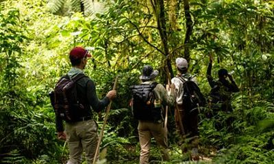 Jungle Passage Hike Trail to Bali Ancient Jungle