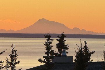 Full Day Anchorage Tour with Alaskan Guide