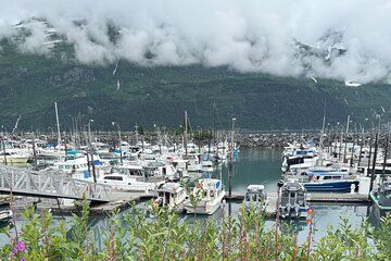 Whittier Drive and Coastal Alaska Full Day Adventure