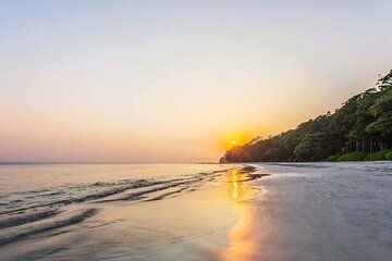 Backwaters, Temples and Coastal Charm South India Tour