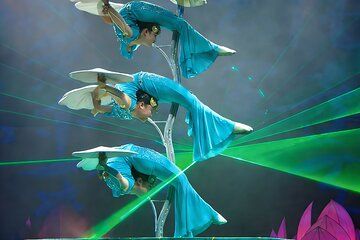 Private Tour:Tian'anmen square&Forbidden City with Acrobatic Show