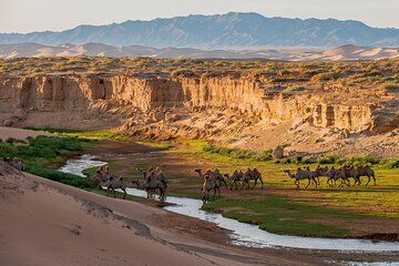 8 Day Mongolia Gobi desert 4WD Adventure Tour