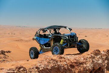 Red Dunes Safari with Sandboarding and Falcon Photo in Dubai