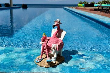 Bonaire Oceanfront Villa Day Pass with Snorkeling, Food & Drinks