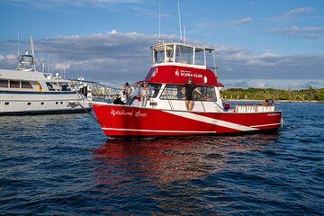 Scuba Diving Experience in West Palm Beach