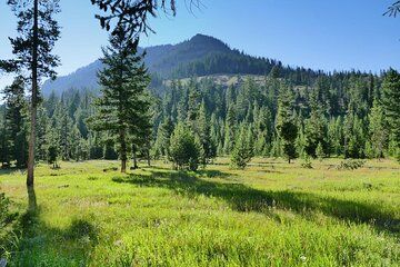 5 Day VIP Small Group Tour of Yellowstone and Grand Teton