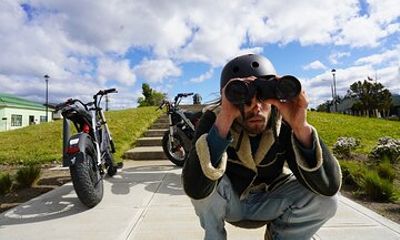 Punta Arenas Monuments and Coastal Cruise City Tour