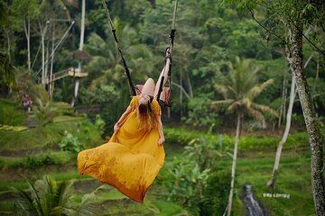 Discover Ubud: Bali Swing, Monkey Forest, Rice Terrace, Waterfall