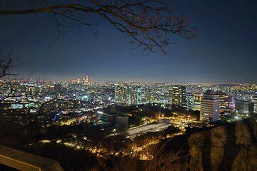 seoul night city tour hangang