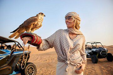 Premium Desert Safari Adventure with BBQ Dinner and Live Shows