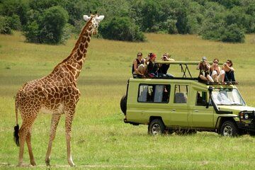 Private Tour Tala Reserve, Natal Park and Market from Durban