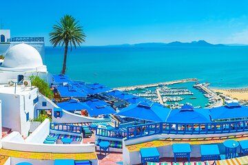 PremiumPrivate Tour:TunisMedina,Bardo,SidiBouSaid/Carthage/Pickup
