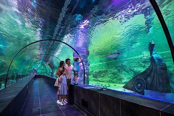 Viaport Aquarium Ticket with Optional Hotel Transfer