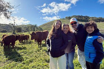 Savor the Valley: Cattle Ranch-to-Olive Grove On Farm Experience