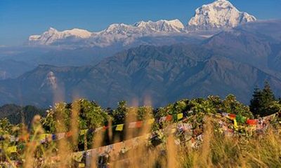 Poon Hill Sunrise and Cultural Villages 4 Days Trek from Pokhara