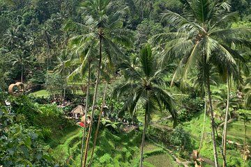 Penglipuran Village Bali Private Car Adventure