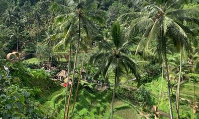 Bali Ubud : Full or Half Day Private Adventure Tour