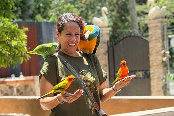 Exotic animals and birds experience