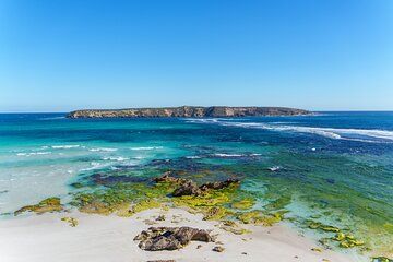 Coffin Bay Tour with Oyster Shucking and Off Road Adventure