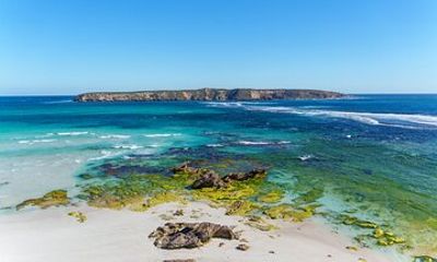 Coffin Bay Tour with Oyster Shucking and Off Road Adventure