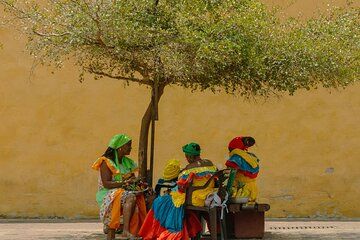 Kittitian Crafts Bush Tea, Spices, Basket Weaving, Shell Jewelry