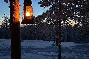 Snowmobile Sleigh Ride Through Rovaniemi's Arctic Wilderness