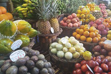 Funchal Discover local highlights and traditions