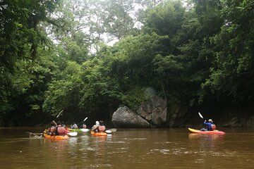 Semadang Serenity: Leisure Kayaking & Village Lunch from Kuching