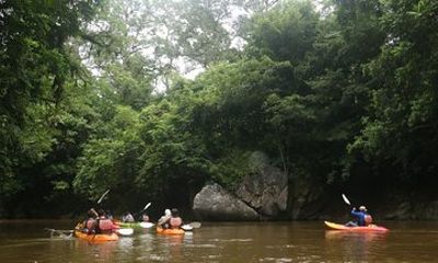 Leisure Rainforest Kayaking & Village Lunch from Kuching