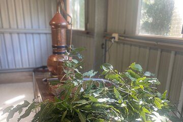 Plant to Perfume Experience Garden Tour Distilling and Perfume